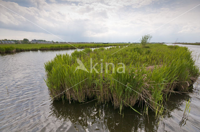 Polder Westzaan