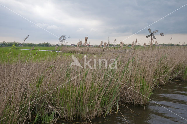 Polder Westzaan