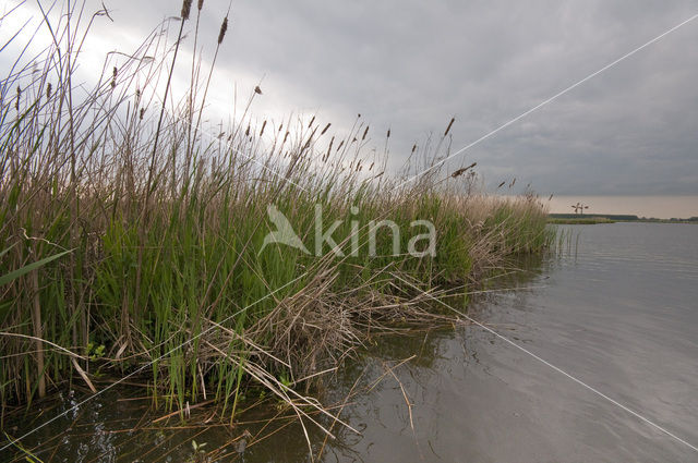 Polder Westzaan