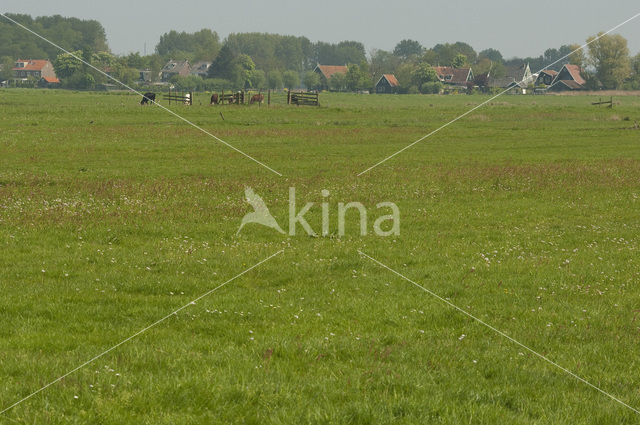 Polder Westzaan