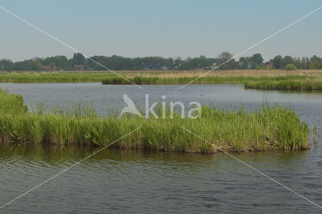 Polder Westzaan