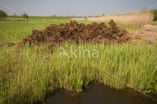 Westzanerveld