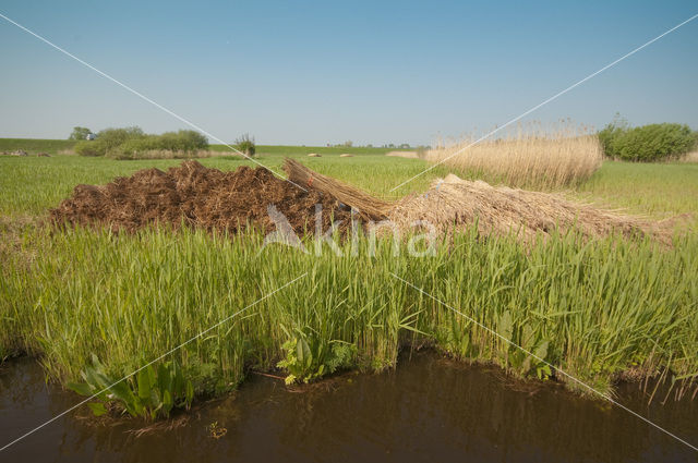 Westzanerveld