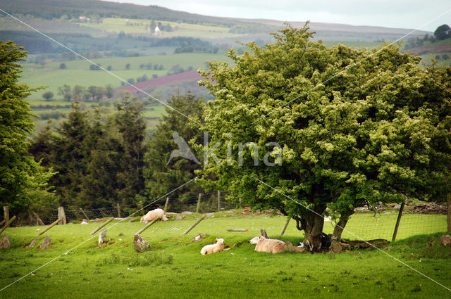 Brecon Beacons National Park