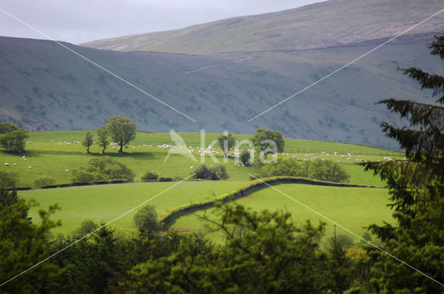 Brecon Beacons National Park