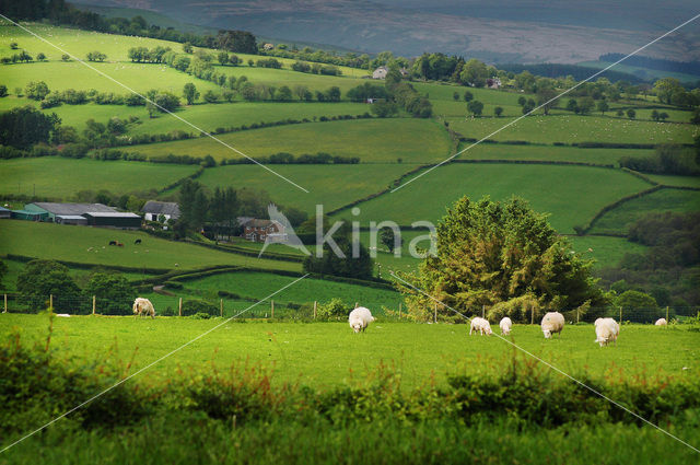 Brecon Beacons National Park