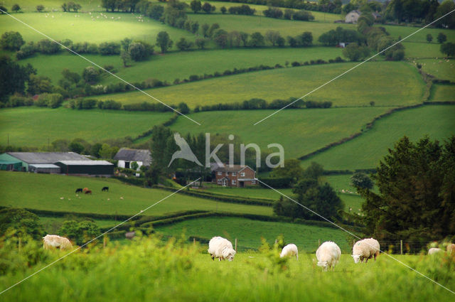 Brecon Beacons National Park