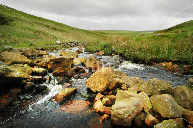 Cambrian Mountains