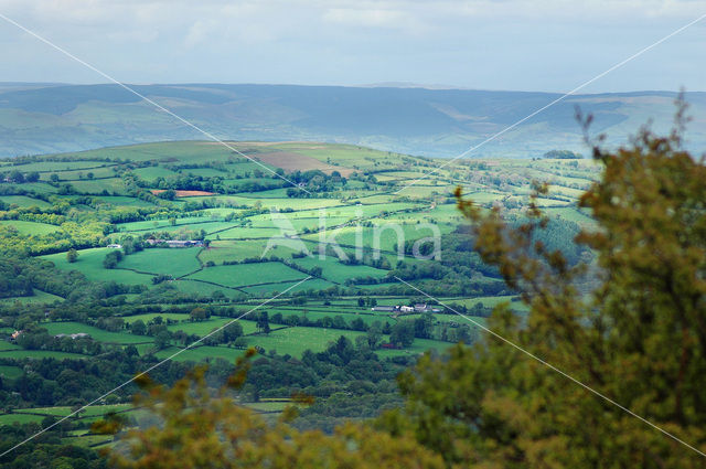 Cambrian Mountains