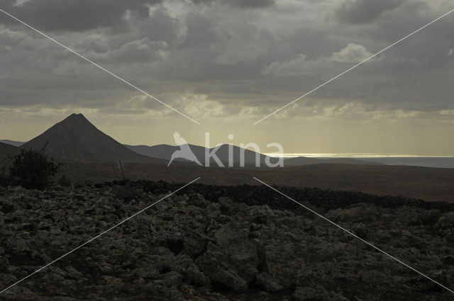 Fuerteventura