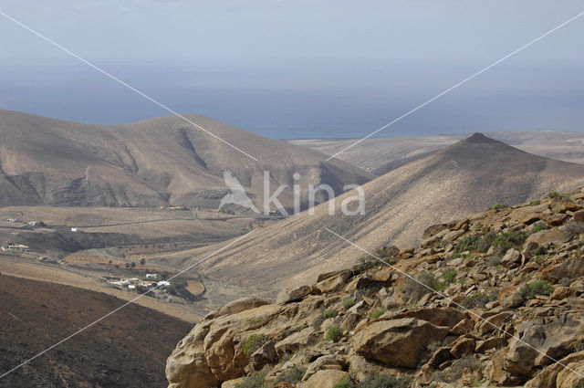 Fuerteventura