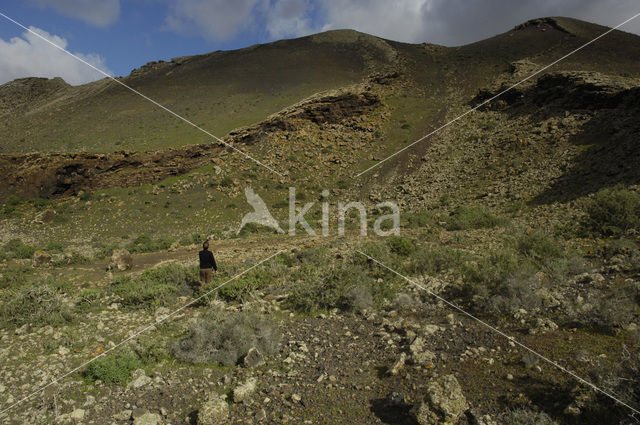 Fuerteventura