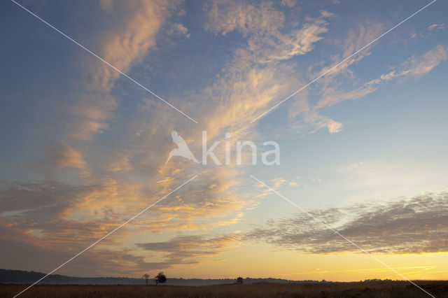 Hoog Buurlose Heide