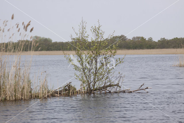 Naardermeer