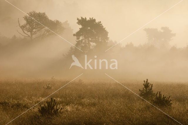 Nationaal Park Veluwezoom