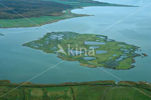 Nationalpark Vorpommersche Boddenlandschaft