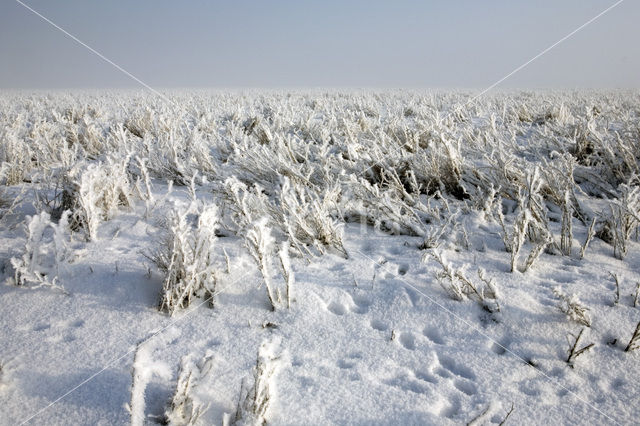 Noord Friesland Buitendijks