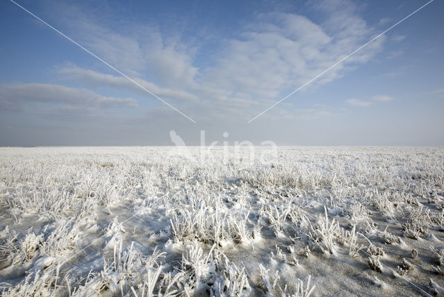 Noord Friesland Buitendijks