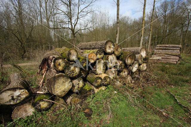 De Mortelen en Heerenbeek