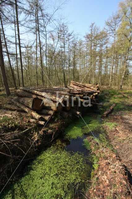 De Mortelen en Heerenbeek