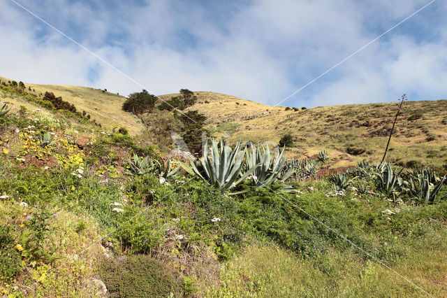 El Hierro