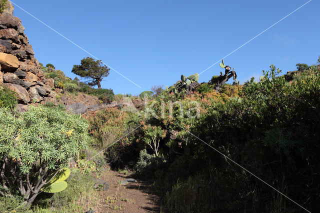 El Hierro