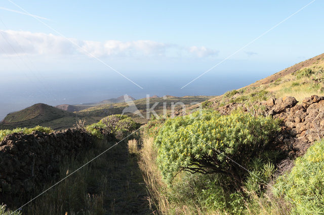 El Hierro