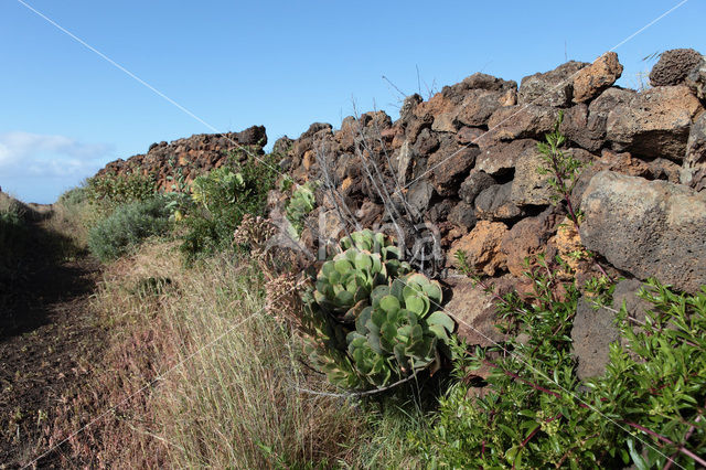 El Hierro