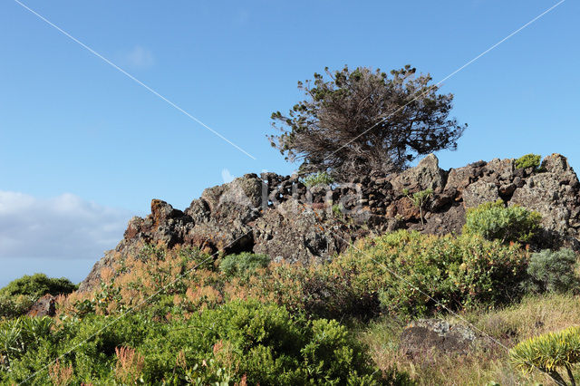 El Hierro