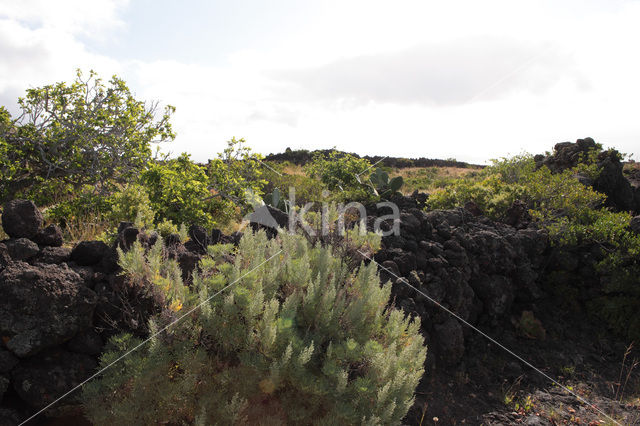 El Hierro