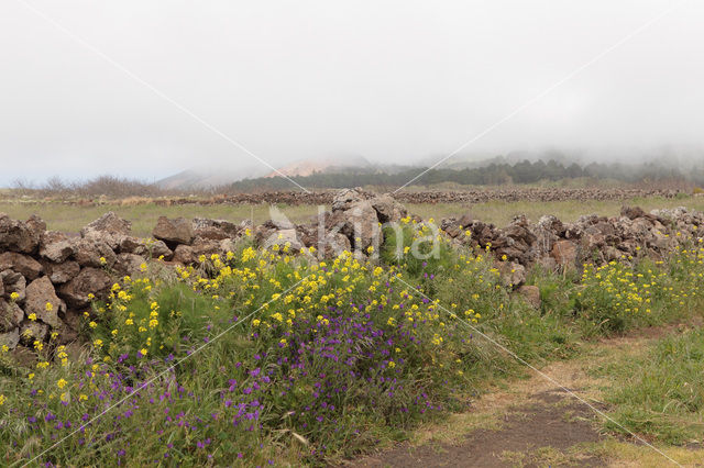 El Hierro