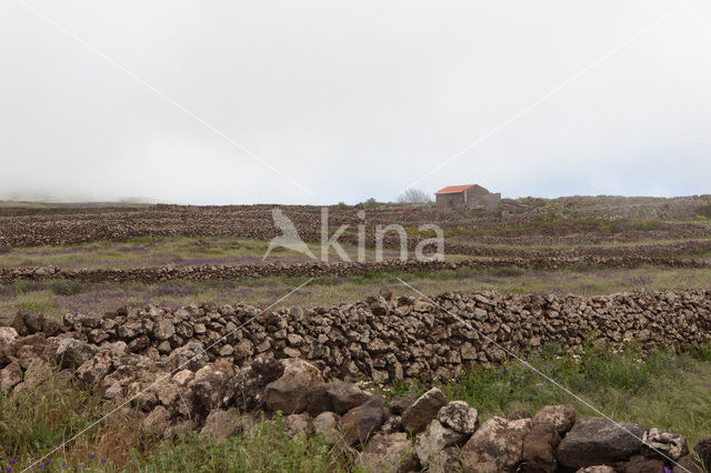 El Hierro