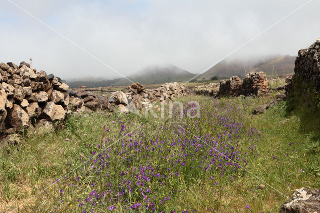 El Hierro