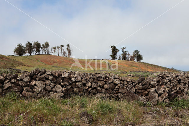 El Hierro