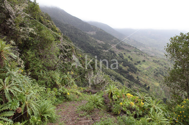 El Hierro