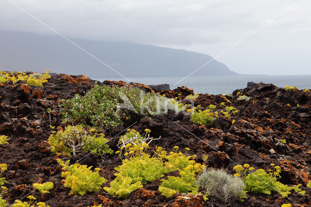 El Hierro