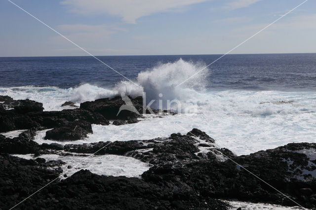 La Palma