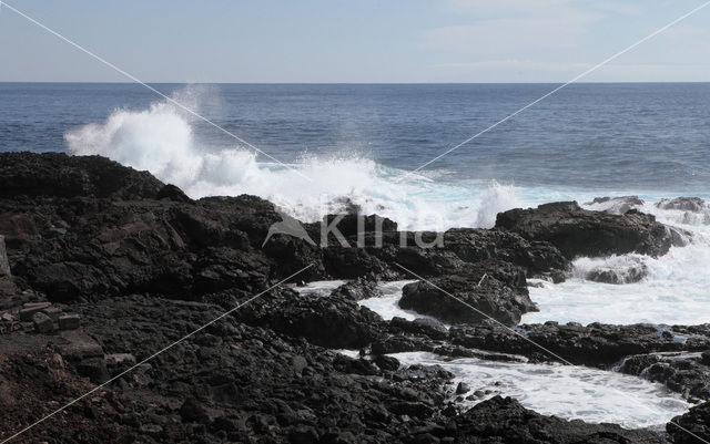 La Palma