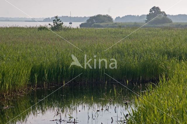 Nationaal Park Weerribben-Wieden