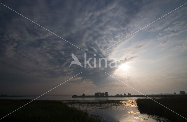 Overijsselse Vecht