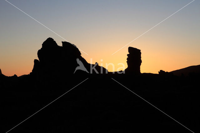 Parque Nacional de Pico del Teide