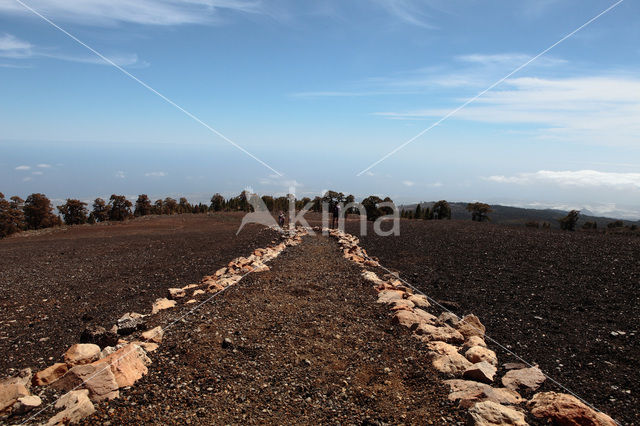 Parque Nacional de Pico del Teide