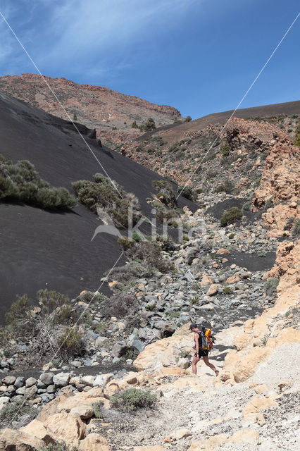 Pico del Teide National Park