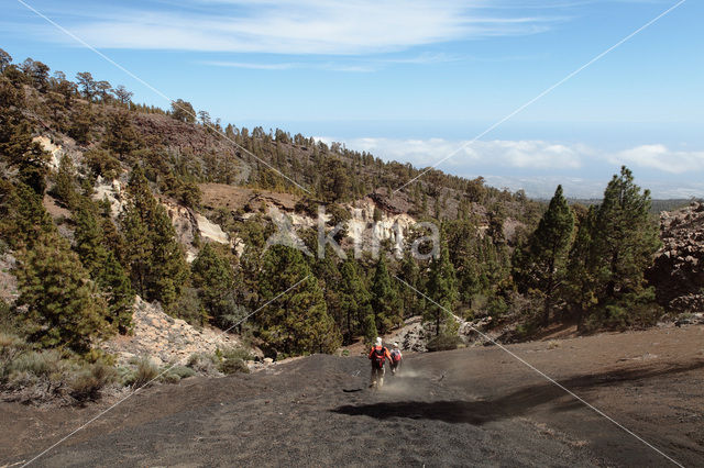 Parque Nacional de Pico del Teide