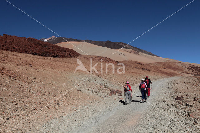 Parque Nacional de Pico del Teide