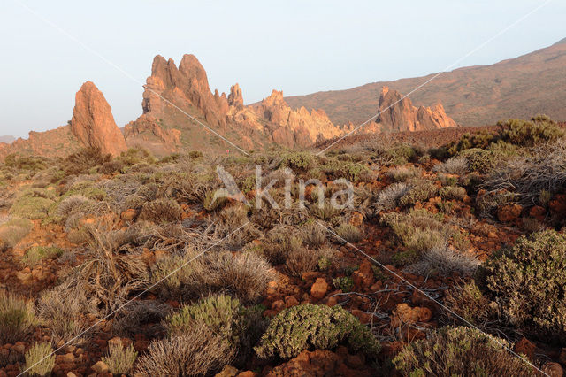 Parque Nacional de Pico del Teide