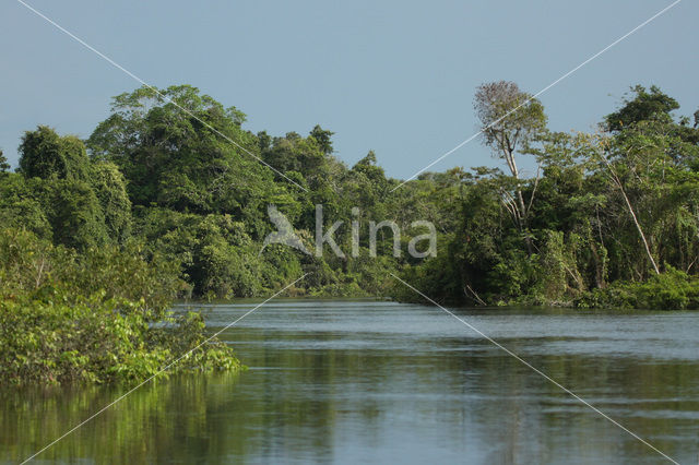 Tamshiyacu Tahuayo Reserve