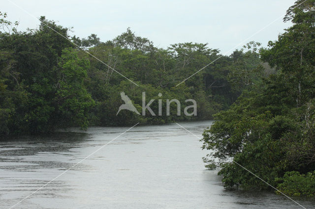 Tamshiyacu Tahuayo Reserve