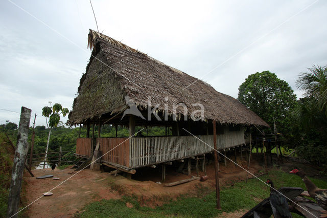 Tamshiyacu Tahuayo Reserve