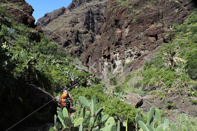 Teno Mountains